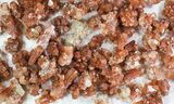 Lot: Small Twinned Aragonite Crystals - Pieces #78104-2